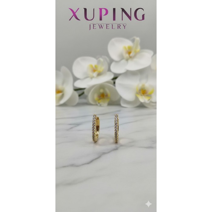20253 Xuping Küpe